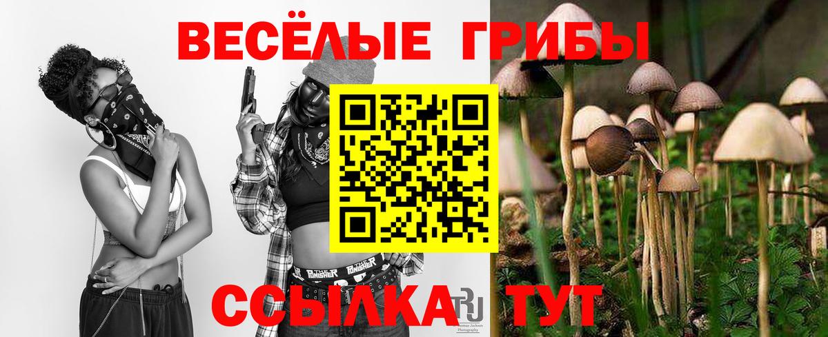 Псилоцибиновые грибы ЛСД Мурино
